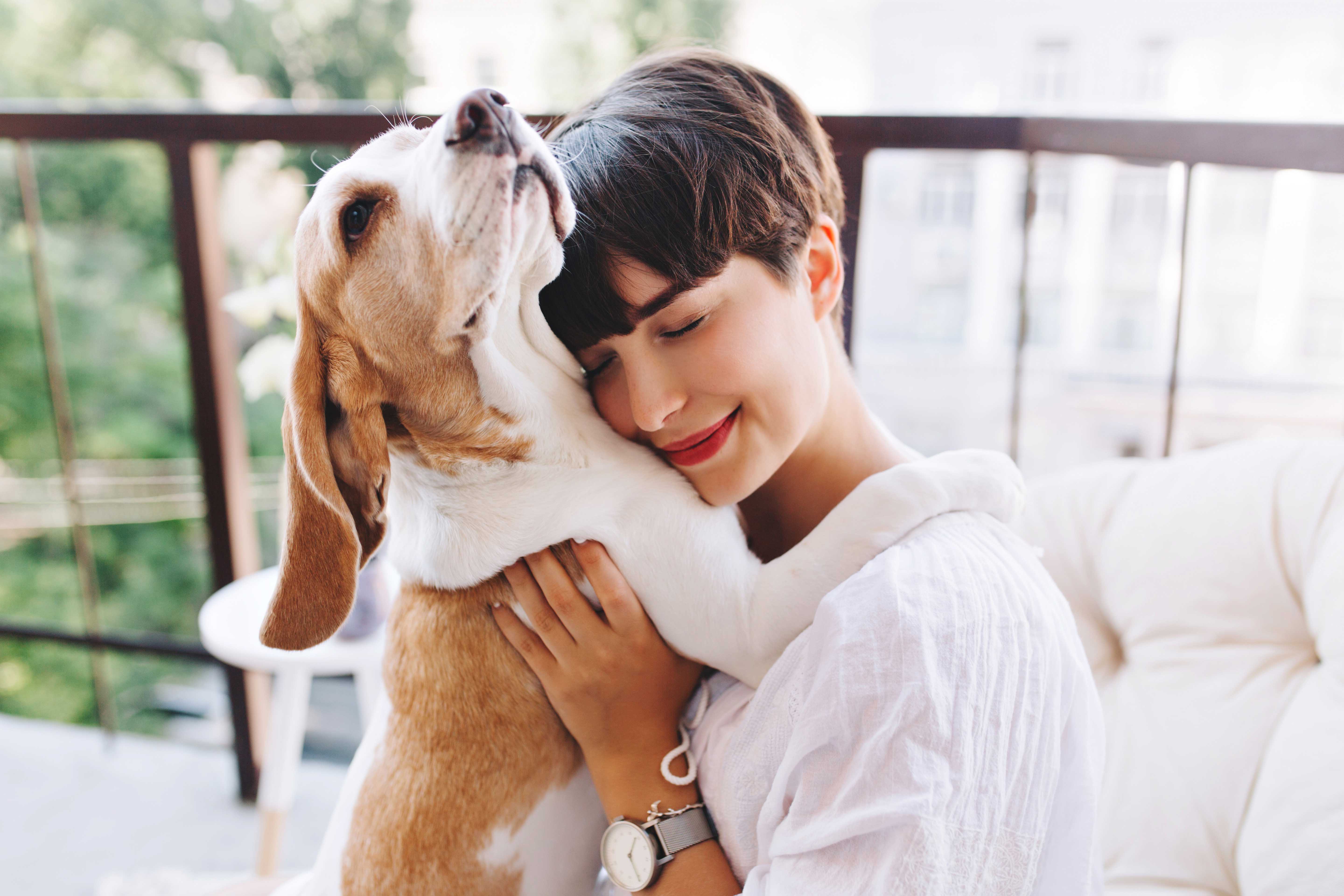 Pet friendly 